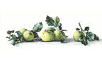 Still Life with apples B2259L Counted Cross-Stitch Kit-0